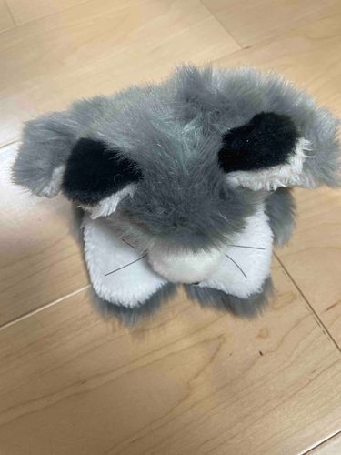 こんばんは
狼パペットのむぅちゃんです🐺
アカウント登録してなくて、再度アプリ開いたら作ったばかりのむぅちゃんアカウントログインできなかったです😢
むぅちゃんの謝罪で許してください🐺