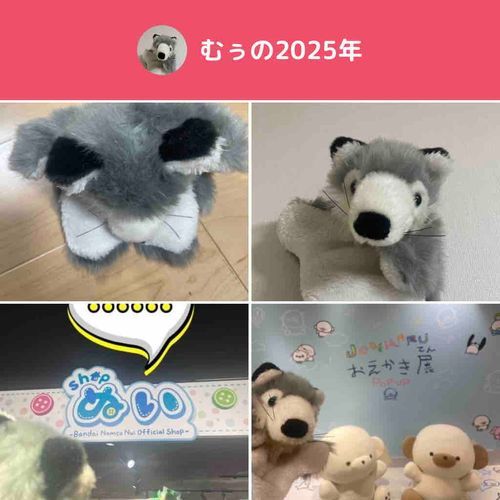 始めたばかりですが、来年もよろしくお願いします🐺