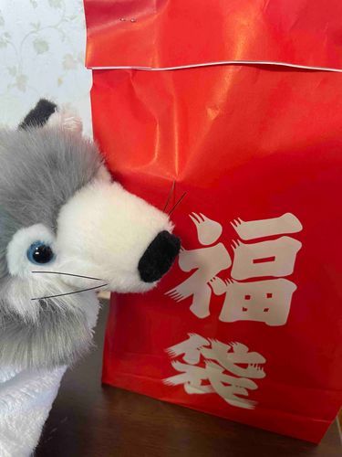 明けましておめでとうございます☀️
福袋買いました🐺