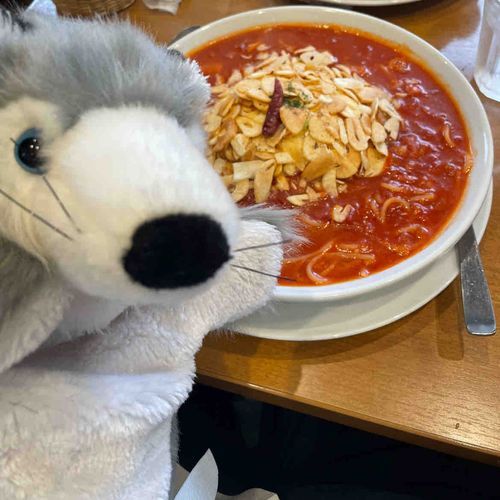 ニンニクたっぷりのパスタ🧄
お口くちゃいくちゃいになっちゃう🐺