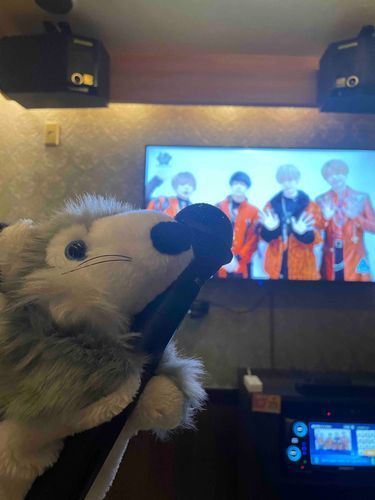 歌手オオカミデビュー🐺🎤
