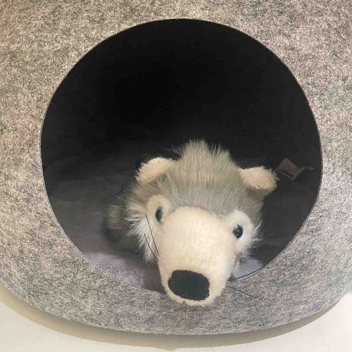 今日は主の誕生日なので、陰ながら主を見守ることにします🐺🎂