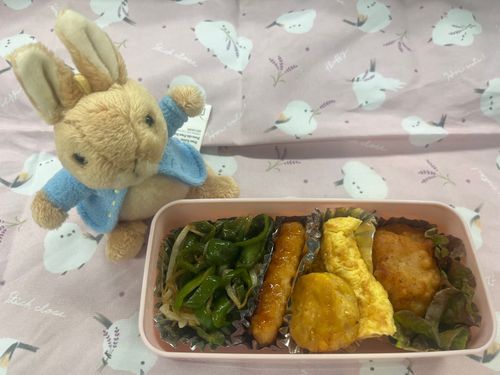 びしょ濡れŧ‹”ŧ‹”( ‘ч’ )ŧ‹”ŧ‹”