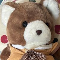 ブルちゃん