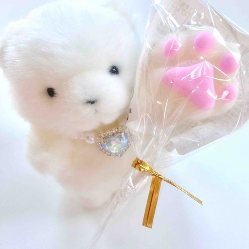 かわいい にくきゅうぐみ🎶🐾⋆*