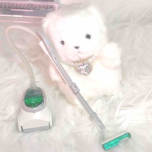 おおそうじ　じゅんちょうです🧹⋆*