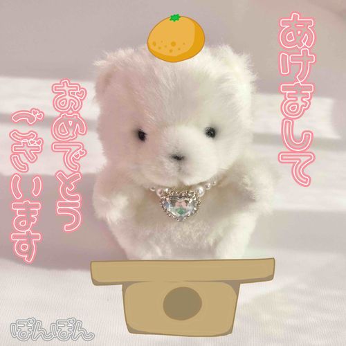 あけまして おめでとう ございます🌟⋆*

ことしも よろしくおねがいします🌿‬⋆*