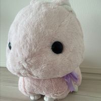 ぴぴ