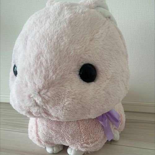 うさぎのぴぴです
