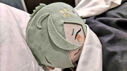 好きなおかずおしえてのだ
