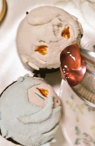 ぺりょぺりょ