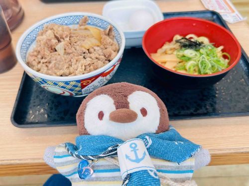 昨日油そばと牛丼食べたよ🐧