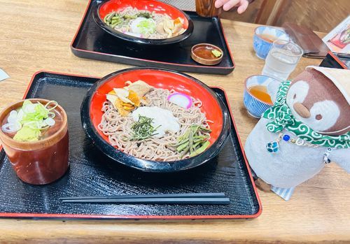 とろろ山菜きのこそばを食べたよ〜
さっぱりと美味🐧✨