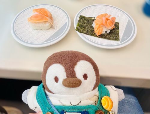 サーモン食べました🐟🐧
