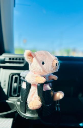 どこにお出かけしますか🐷✨