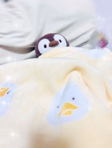 ねんね🐧