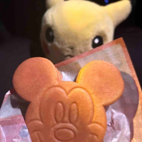 夢の国におむかえ行ったらおいしいやつもらった　いつか