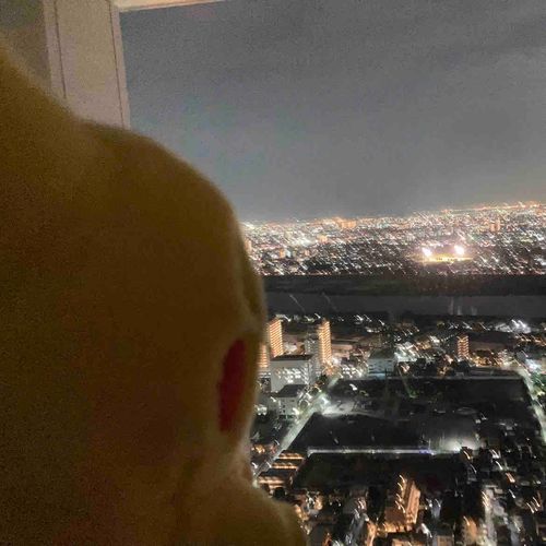 夜景みにいった　2023年