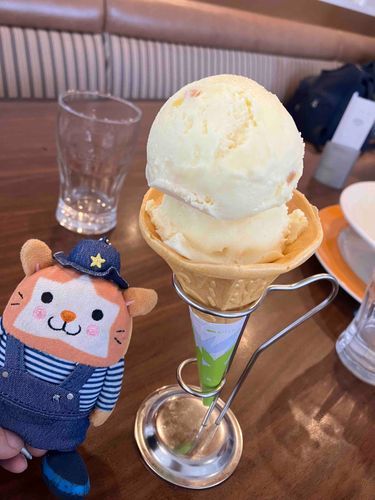 ホーキーポーキー🍨