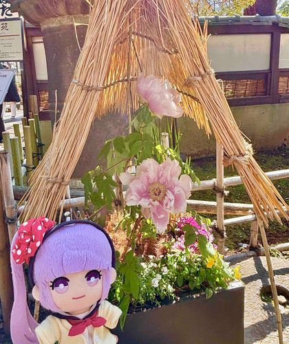 「きれいなぼたん。大きいね」