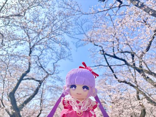 「新しい服で桜を見に出かけたよ。お日様が気持ちよくてお花見日和だったよ」