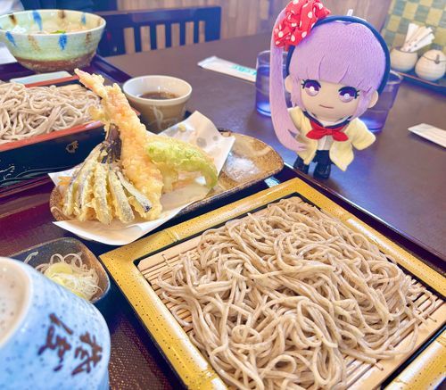 「お蕎麦を食べたよ。ついつい天ぷらもつけちゃうんだって。だからこれは天せいろだよ」