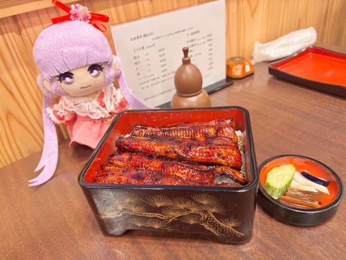 「これが、うな重……！！」

ソフィちゃん、初めてのうな重