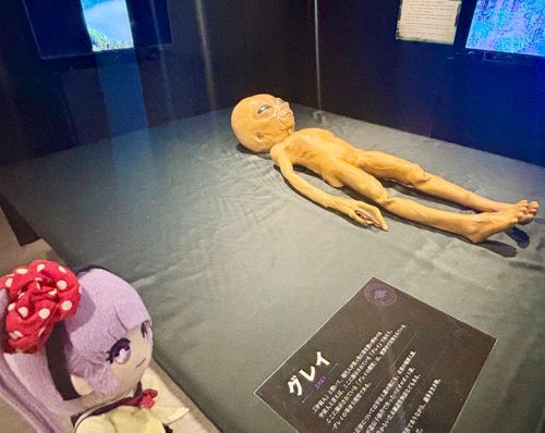 「宇宙人……！！見つけちゃった……！！」