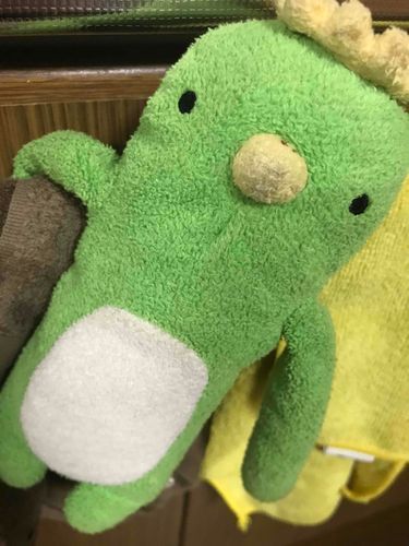 僕ここに引っかかっちゃった🥺でもね！飼い主さんに助けて貰ったんだ！