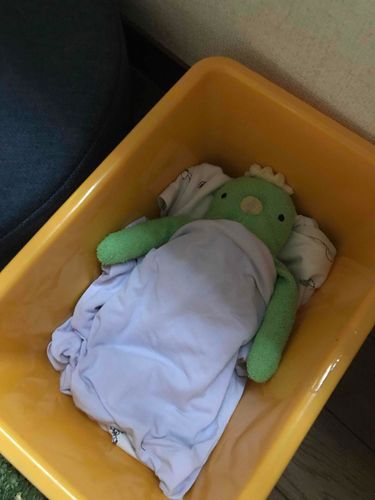 僕今からお昼寝するの💤眠いなぁお友達さんと寝たかったなぁ！！