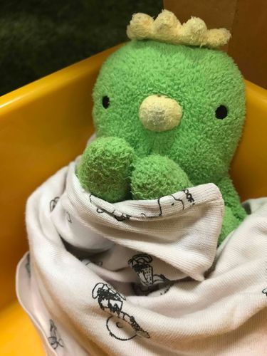 ﾊｯ!僕飼い主さんにダメって言われてたお菓子食べちゃった🍪まぁいいや！！