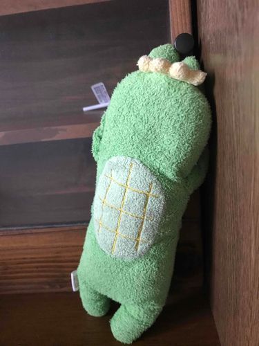 僕のおやつが隠されたった˚‧º·(´ฅωฅ｀)‧º·˚