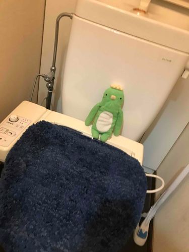 覗かないでもらえまつか！！今おトイレちてるの！！