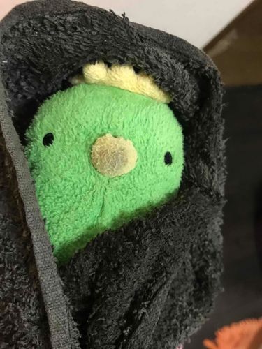 僕頑張ったんだそ🥺しぼられて痛かったけどプカプカできたァ！！