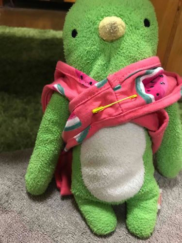 スイカ🍉、、！おイモおイモ柄が良かったなぁ🥺キュピまんぞく満足！！