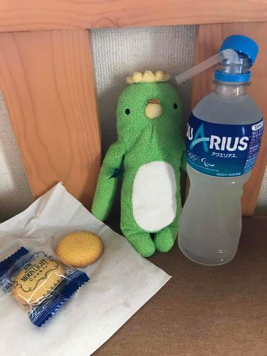 僕ね！お菓子パーティー
してたけど飼い主さんに見つかっちゃってお菓子パーティーはちょっとしかできなかったの！でもね！絶対今度は見つからないもん！
 
