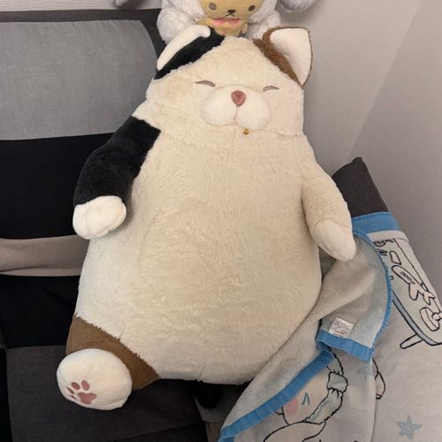 誕生日のプレゼントで家に来たさんま
でかかわ