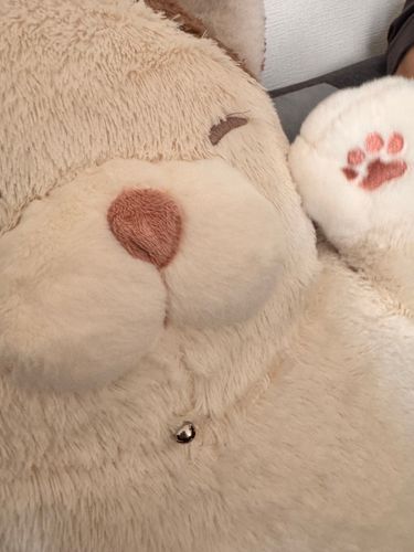 さんまです