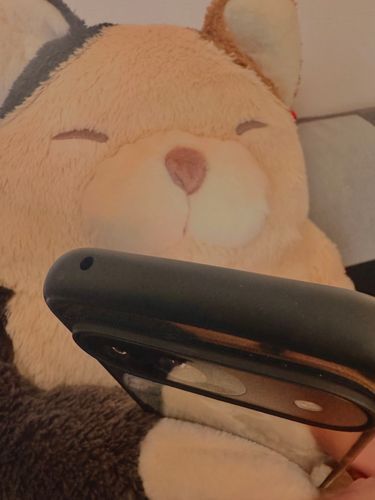 一緒にスマホ見てのんびり過ごしてます🥰