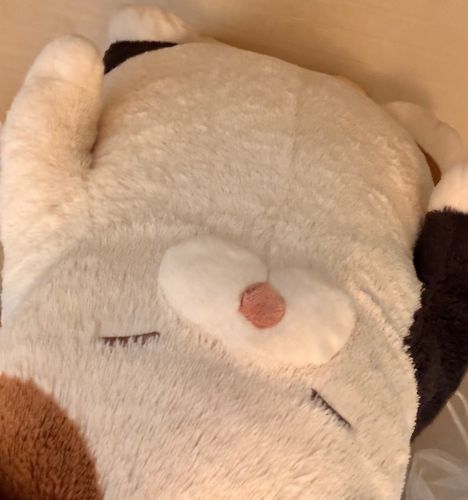 風呂キャンくん入れてやりました