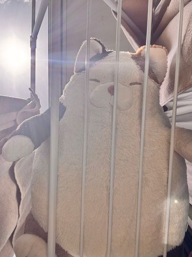 さんま天気よくて一瞬で乾いた！
大変よくがんばりました