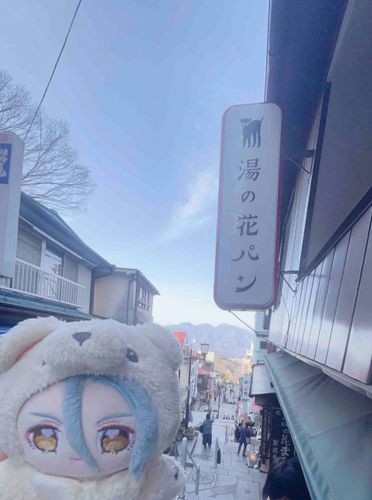 温泉街なのです