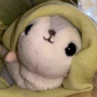 んが
