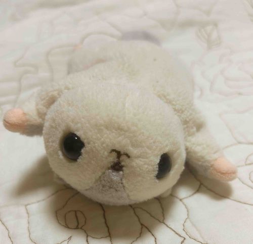 ねーねー