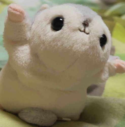 んが！！