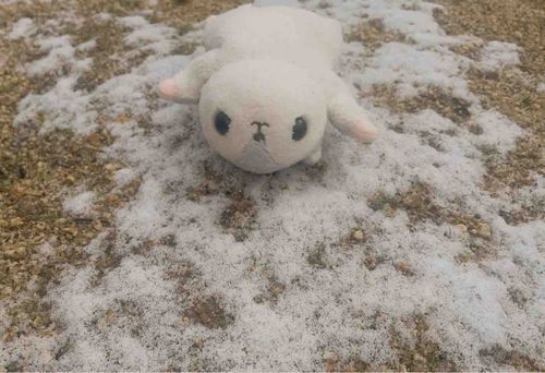 ちべた！！！！！