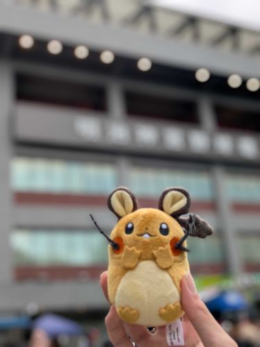 この前の野球行った時！