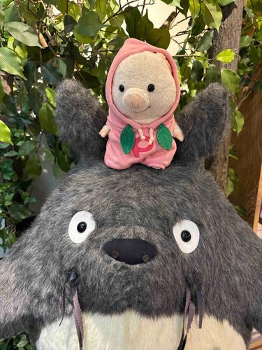 ととろのうえに、、、！