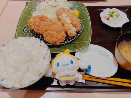 今日のお昼
ヒレカツ、メンチカツ