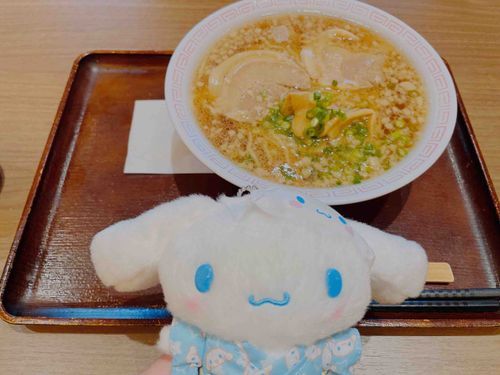 豚骨醤油ラーメンを頼んだけど
油がギトギトだったよ🫨